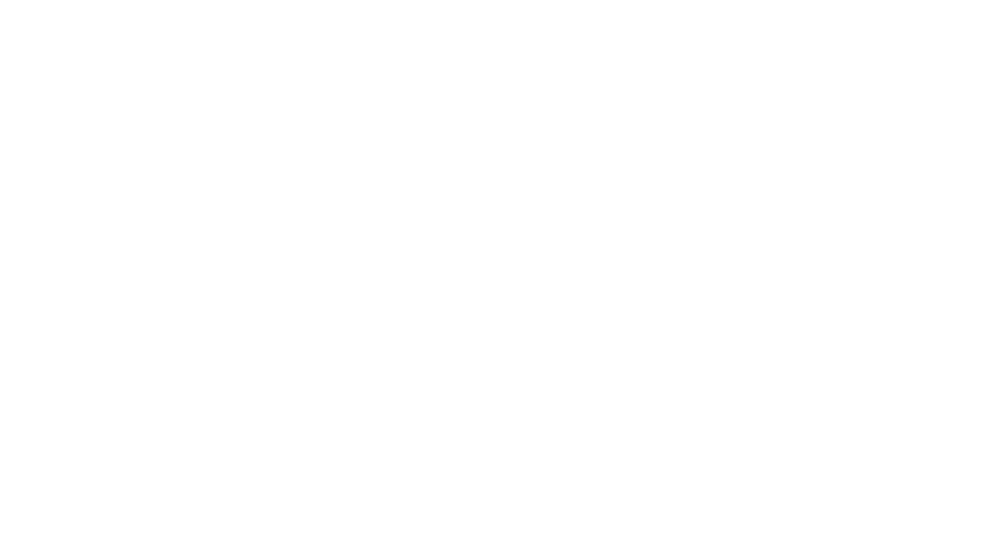 Not your average lawyer